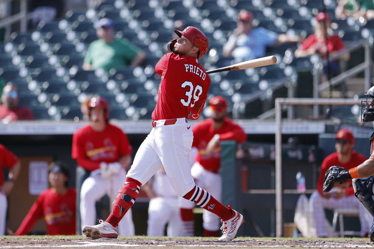 MLB: MAR 17 Spring Training - Astros at Cardinals