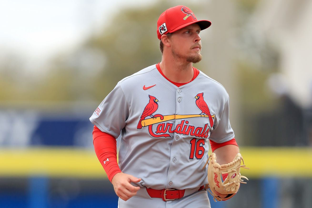 MLB: FEB 25 Spring Training Cardinals at Blue Jays