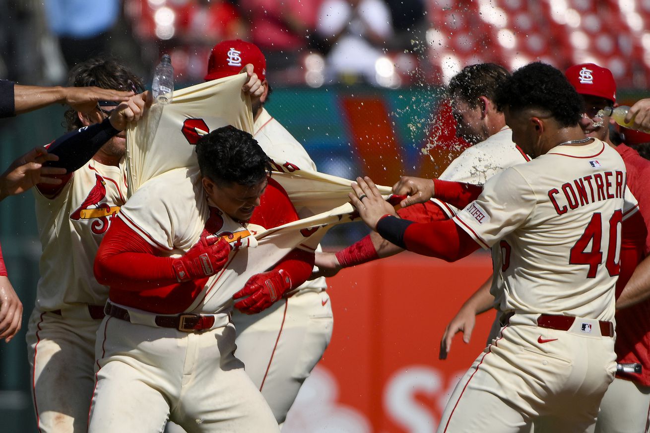 MLB: Cincinnati Reds at St. Louis Cardinals