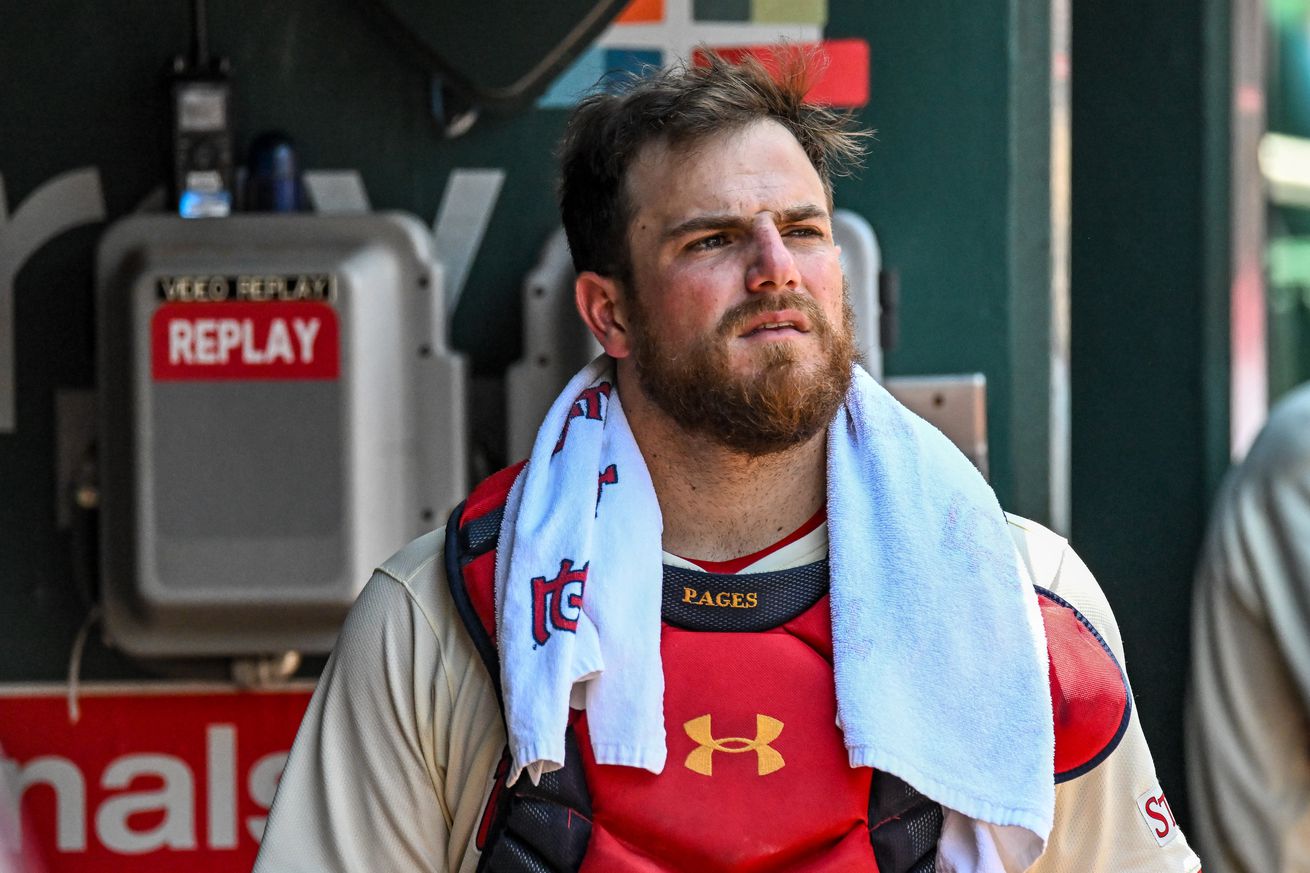 MLB: JUN 20 Reds at Cardinals