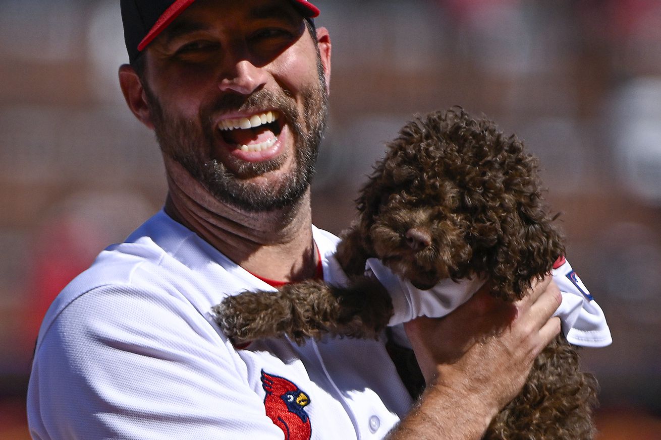 MLB: Cincinnati Reds at St. Louis Cardinals