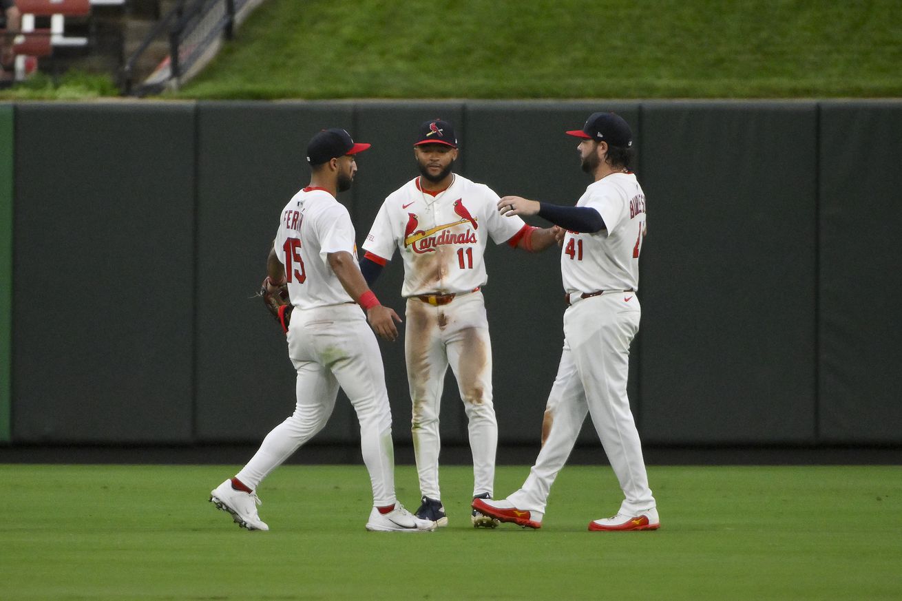 MLB: Atlanta Braves at St. Louis Cardinals